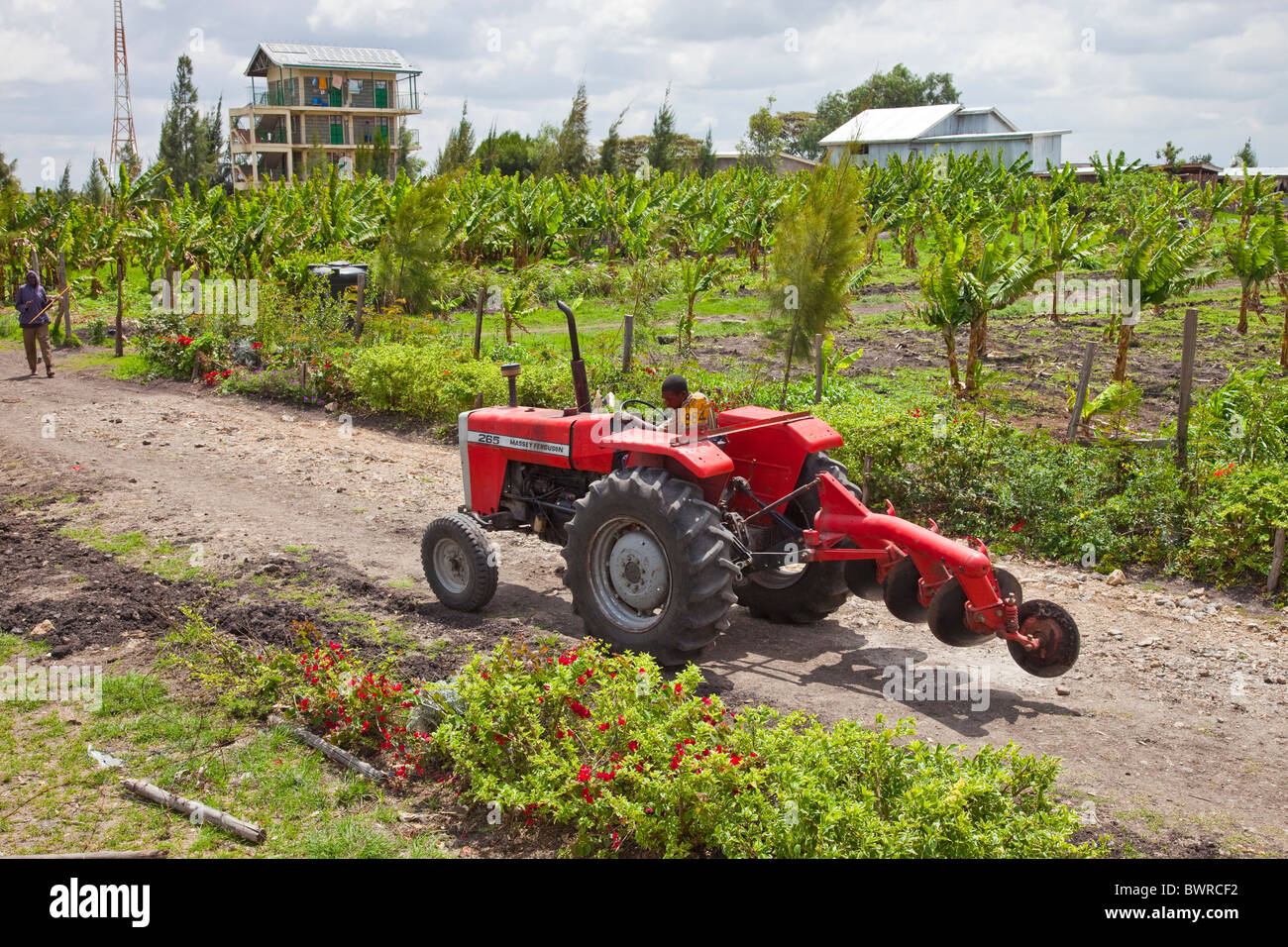 Kenya farm hires stock photography and images Alamy