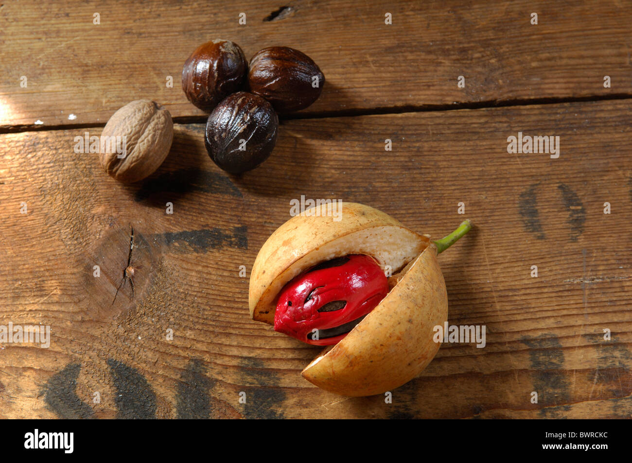 Grenada Nutmeg Spice Farm Caribbean Island Mace Red Fruit Fruits Food