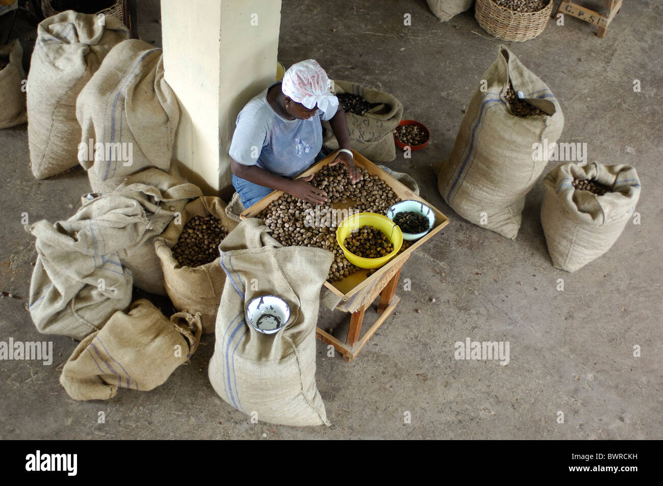 Grenada gouyave nutmeg hires stock photography and images Alamy