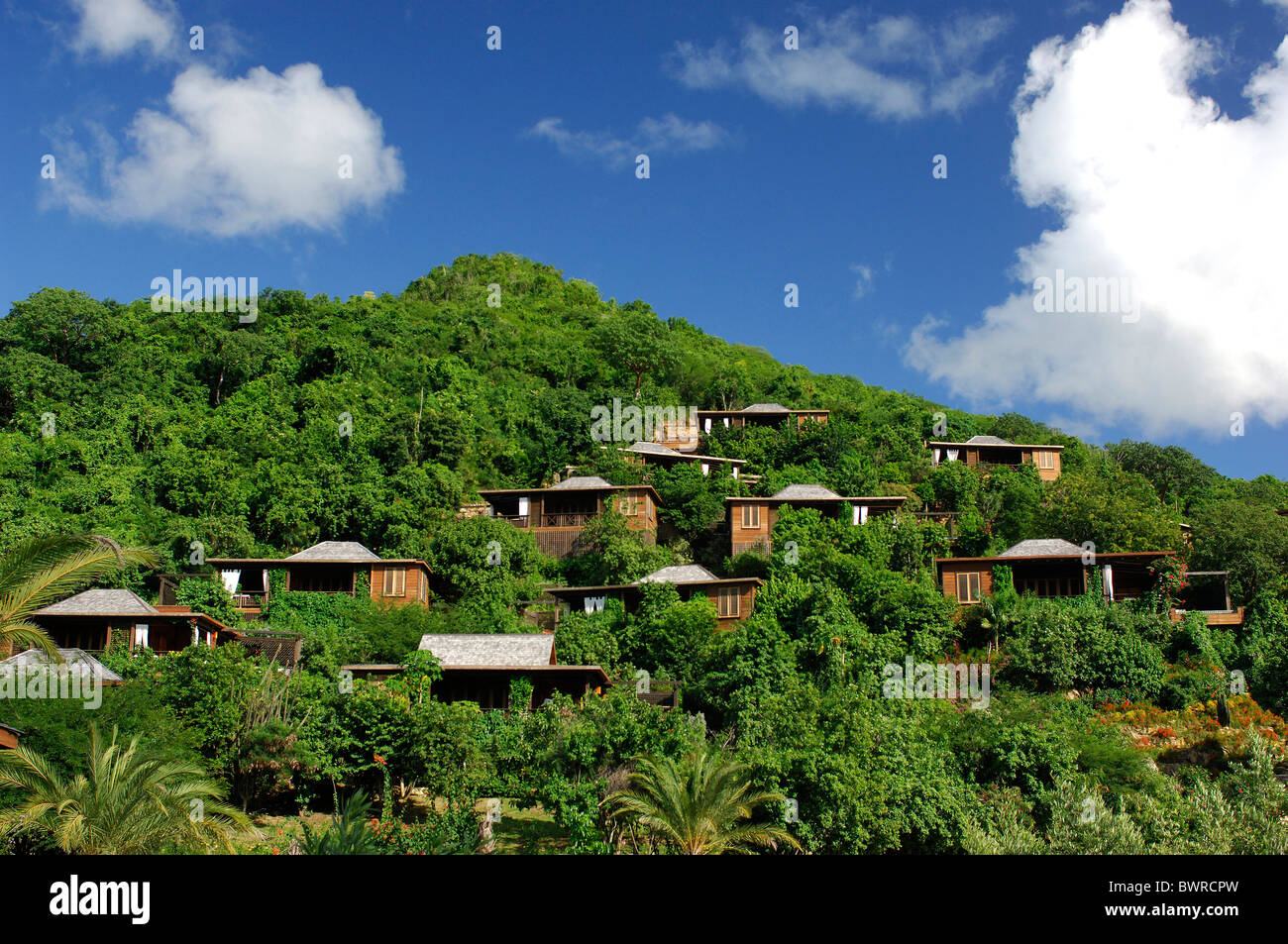 Antigua Hillside Cottage Suites Hermitage Bay Resort Hotel Caribbean Island Palm Trees Palms Tropics Tropial Stock Photo