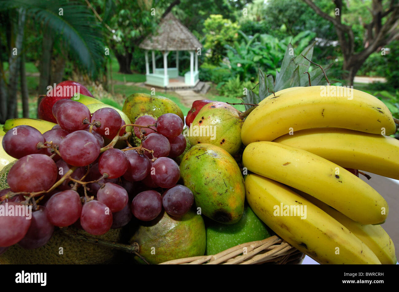 Saint Lucia Fruit Plate East Winds Inn Caribbean Island Fruits Tropics Tropical Exotic Bananas Mangos Grapes Stock Photo