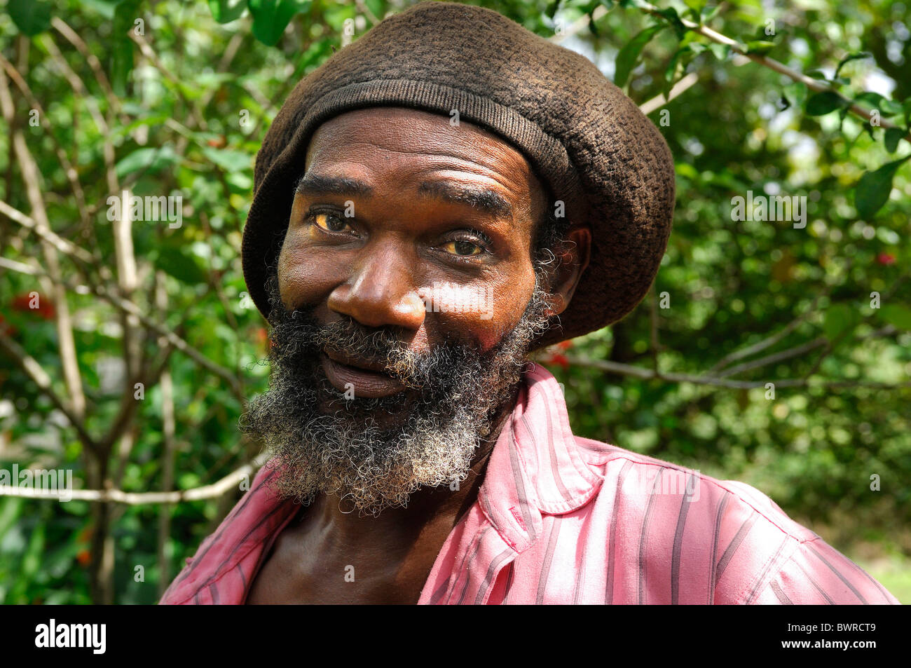 Saint Lucia Selehi Joseph owner of Latille Organic Garden Latille Waterfall Caribbean Island Portrait Man one P Stock Photo