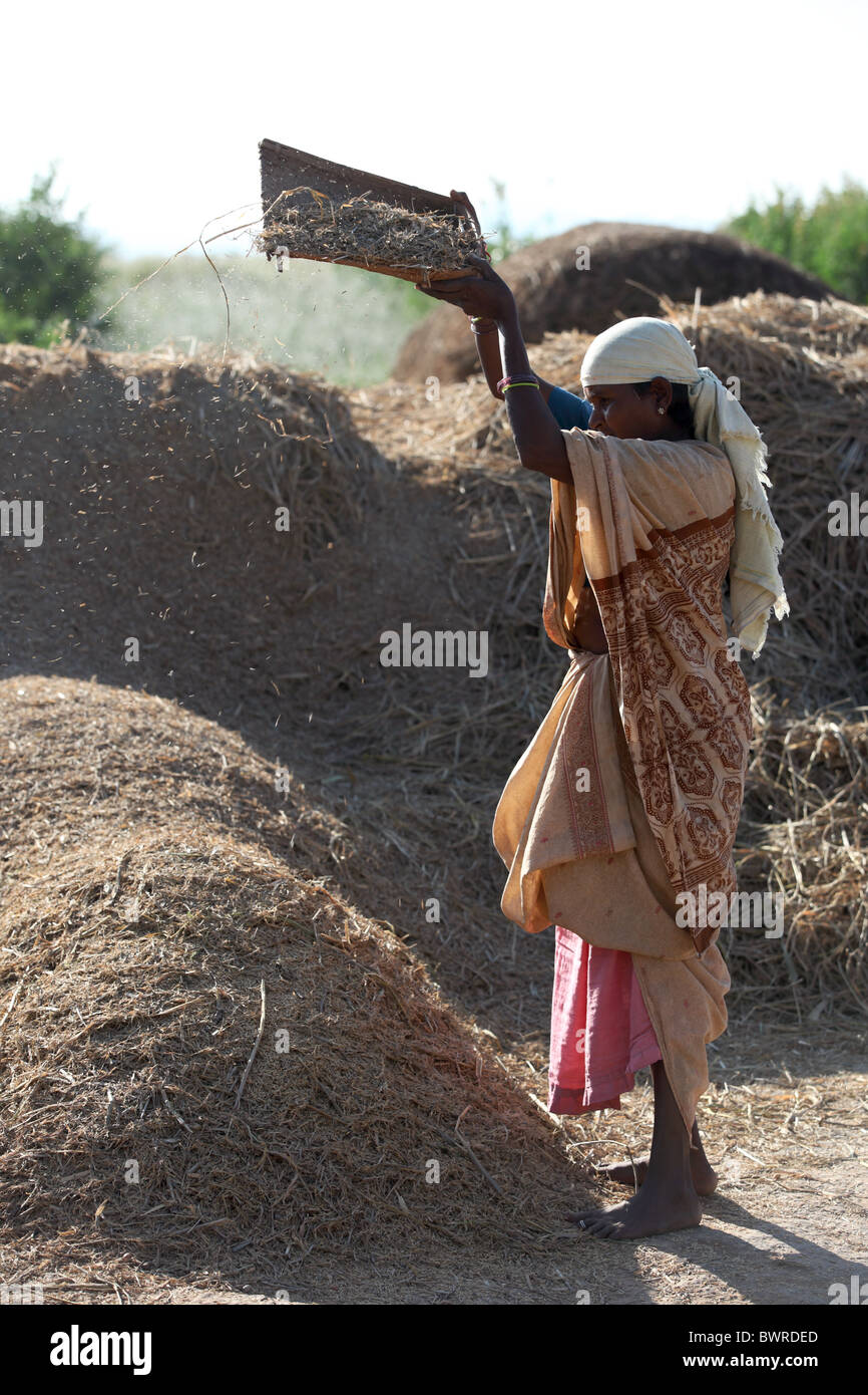 indian woman working Andhra Pradesh South India Stock Photo - Alamy