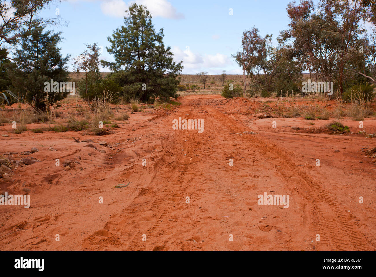 Red sand on the Old Coach Road, Mutawintji National Park, New South Wales, Australia Stock Photo