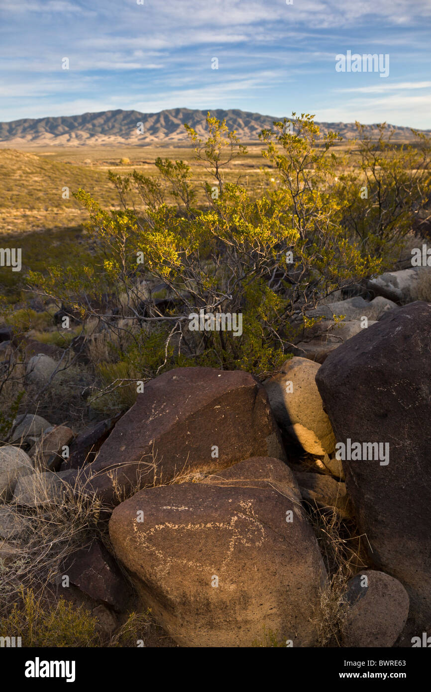 Petroglyph depicting a rabbit by the Jornada Mogollon at the Three ...