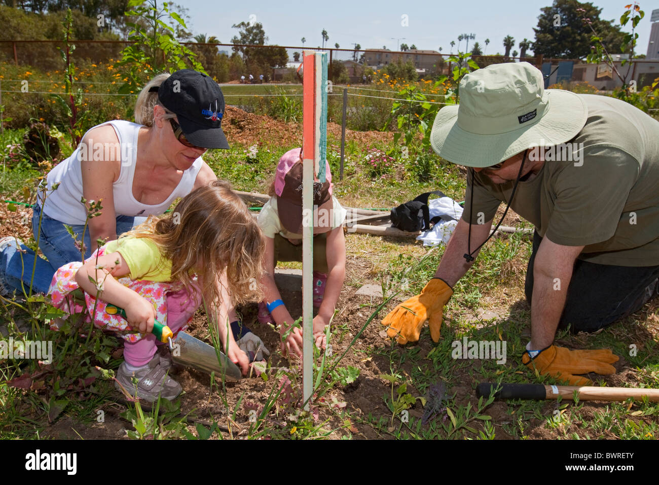 Students, parents and teachers work on the garden at the 24th Street School garden on Big Sunday. West Adams, Los Angeles Stock Photo
