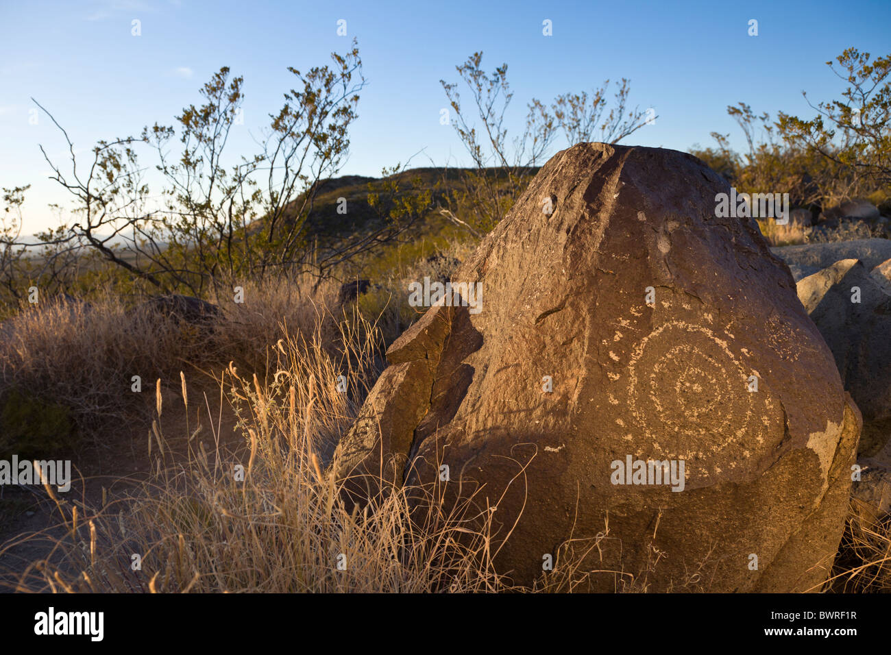 Petroglyph of circle and dot motif by the Jornada Mogollon Native Americans at the Three Rivers Petroglyph Site, New Mexico USA. Stock Photo