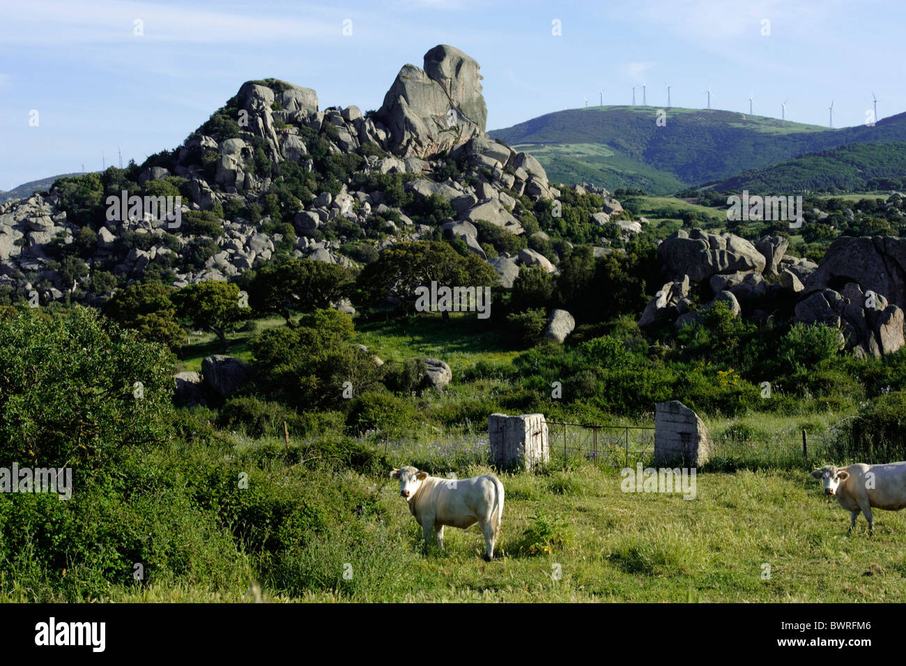rocks in Valle di Luna, Sardinia, Italy Stock Photo