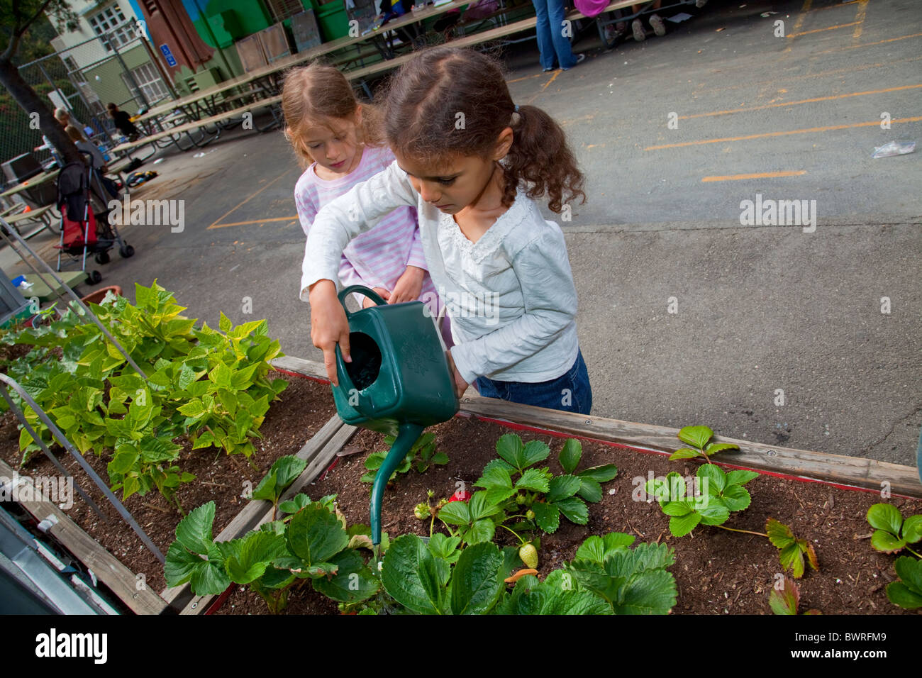 Young girls care for the garden at their elementary school in Laurel Canyon, Los Angeles, California, USA Stock Photo