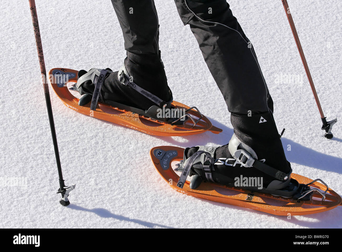 Snowshoes Snowshoeing Snowshoe Winter Snow sports Pole Pole walking