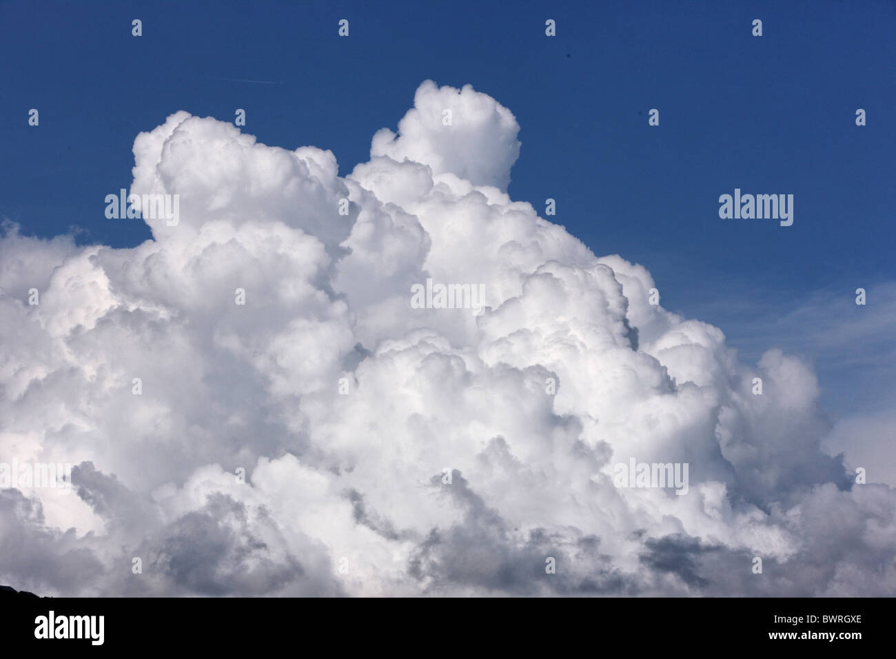 Cumulus cloud clouds blue sky white weather only without nature Stock Photo