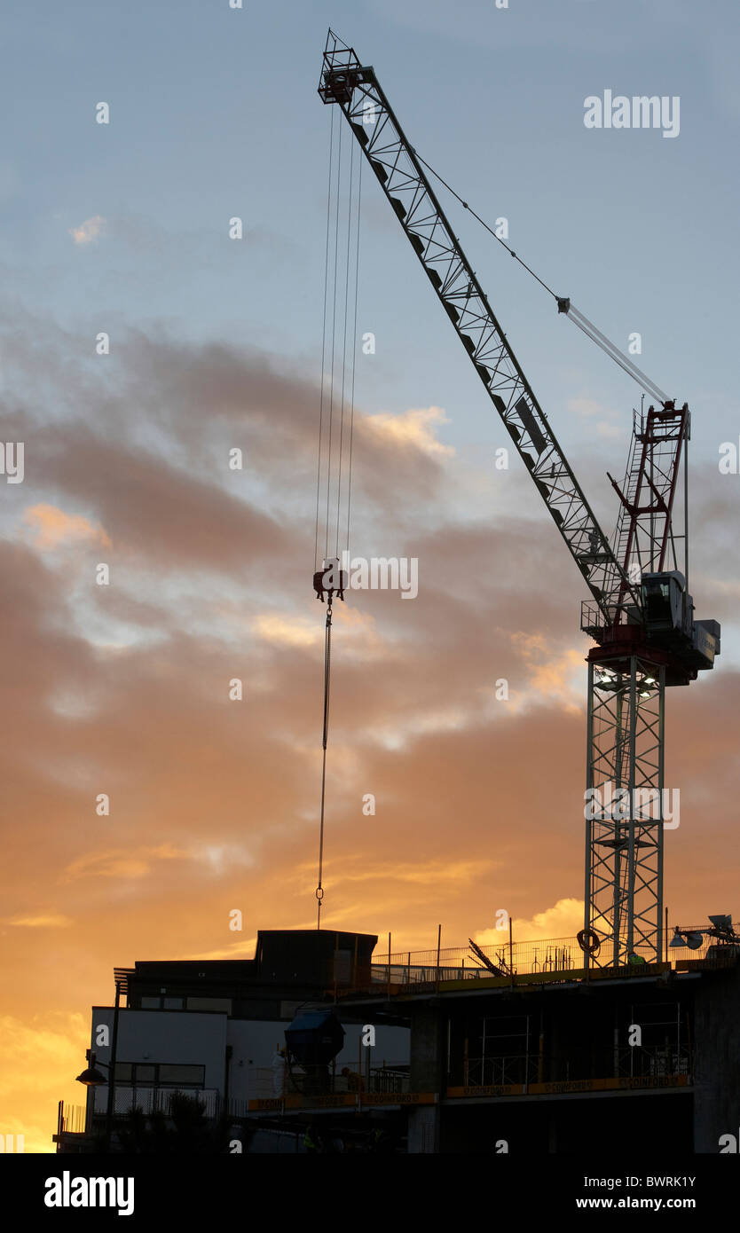 crane shoot at sun set Stock Photo Alamy