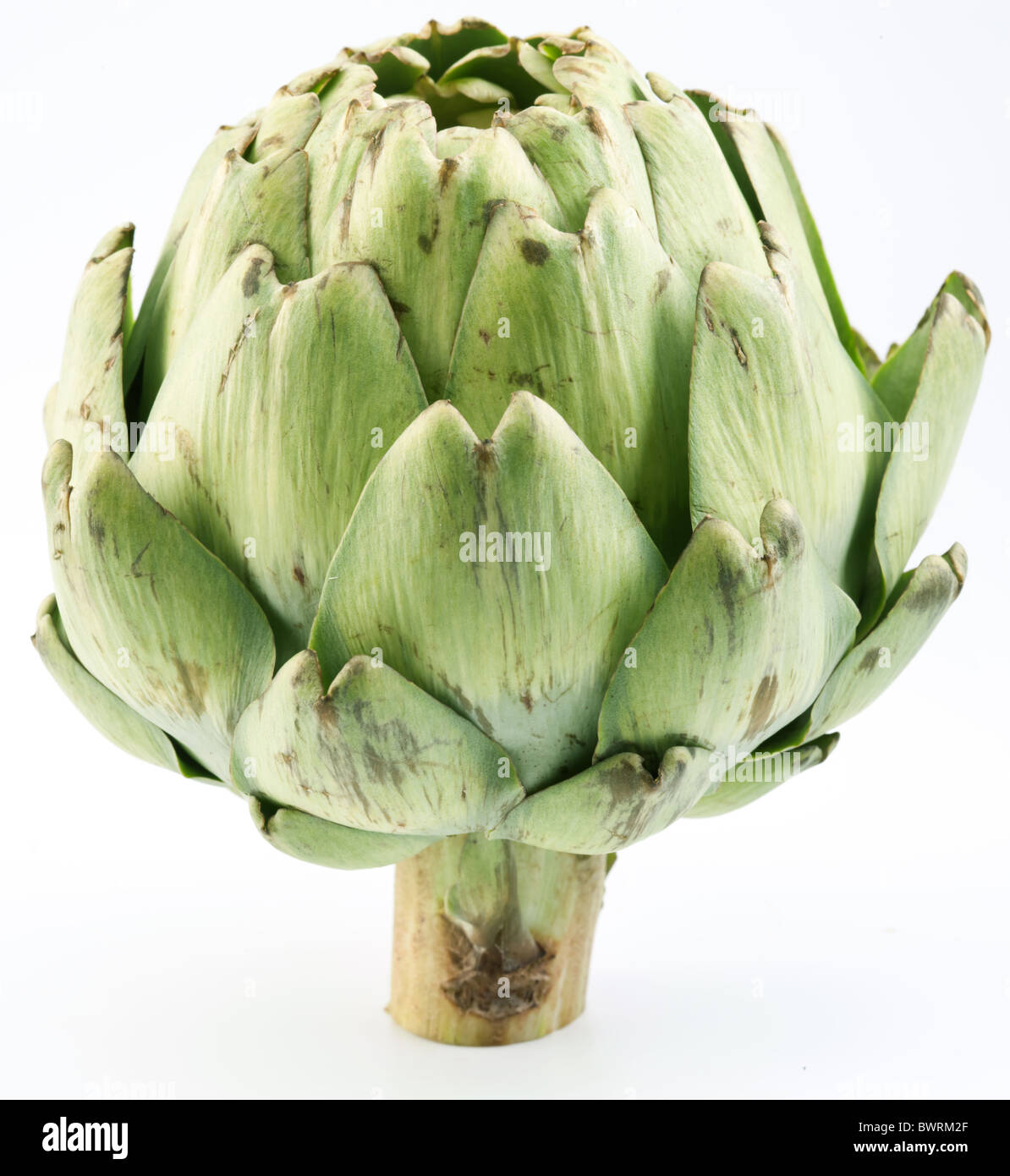 Artichoke hi-res stock photography and images - Alamy