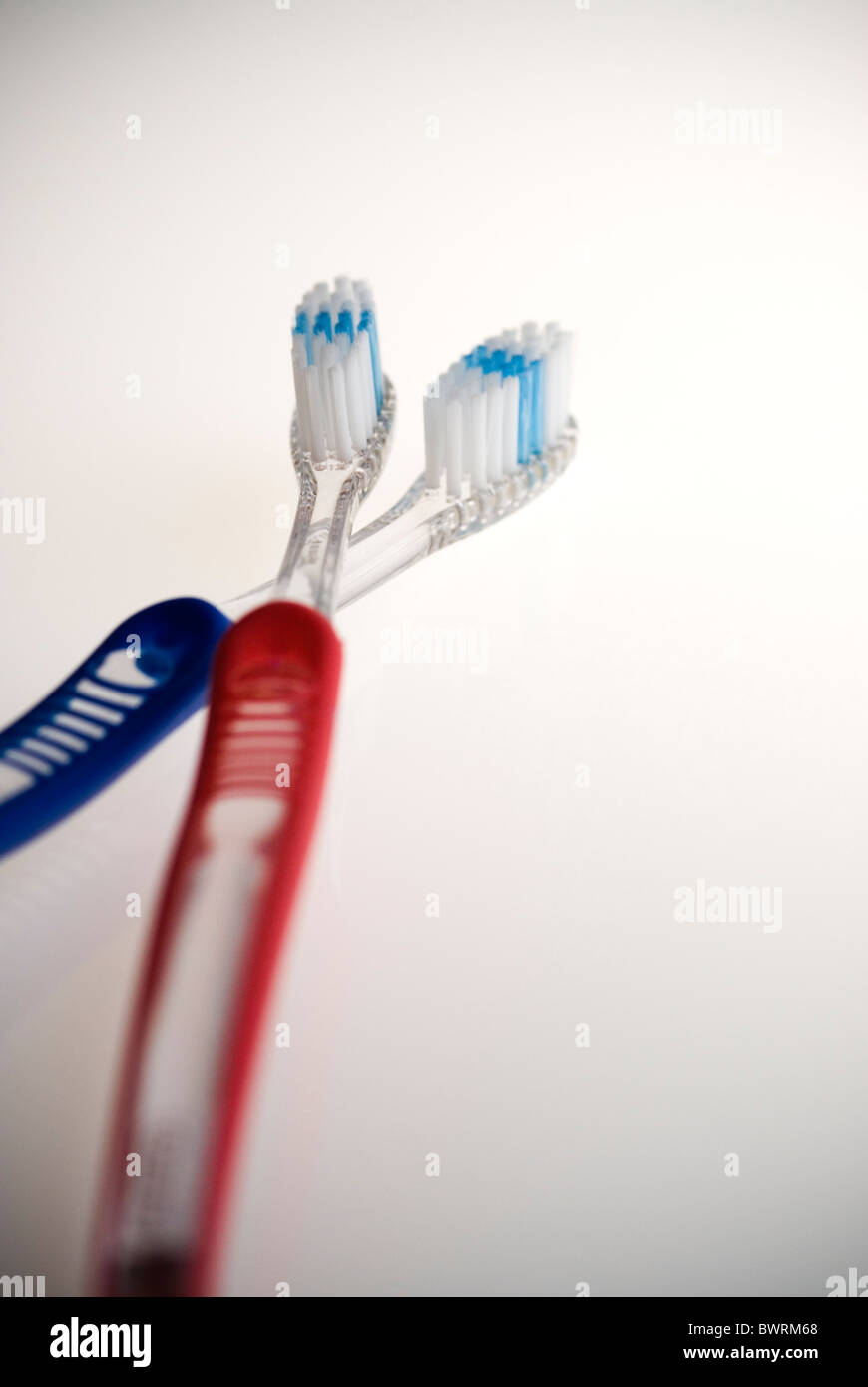 A pair of toothbrushes - togetherness. Stock Photo