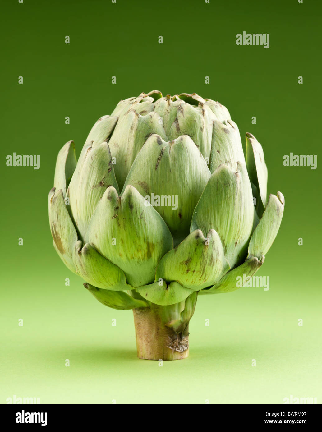 Artichoke on a green background Stock Photo