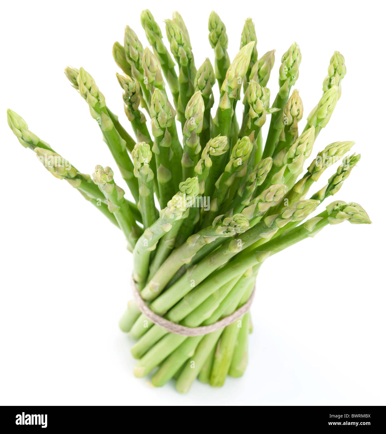 Sheaf of asparagus on a white background. Stock Photo