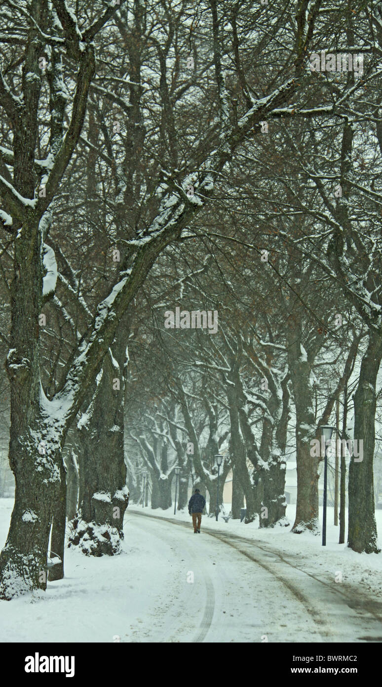 Alley in winter, with snow and a man silhouette Stock Photo - Alamy