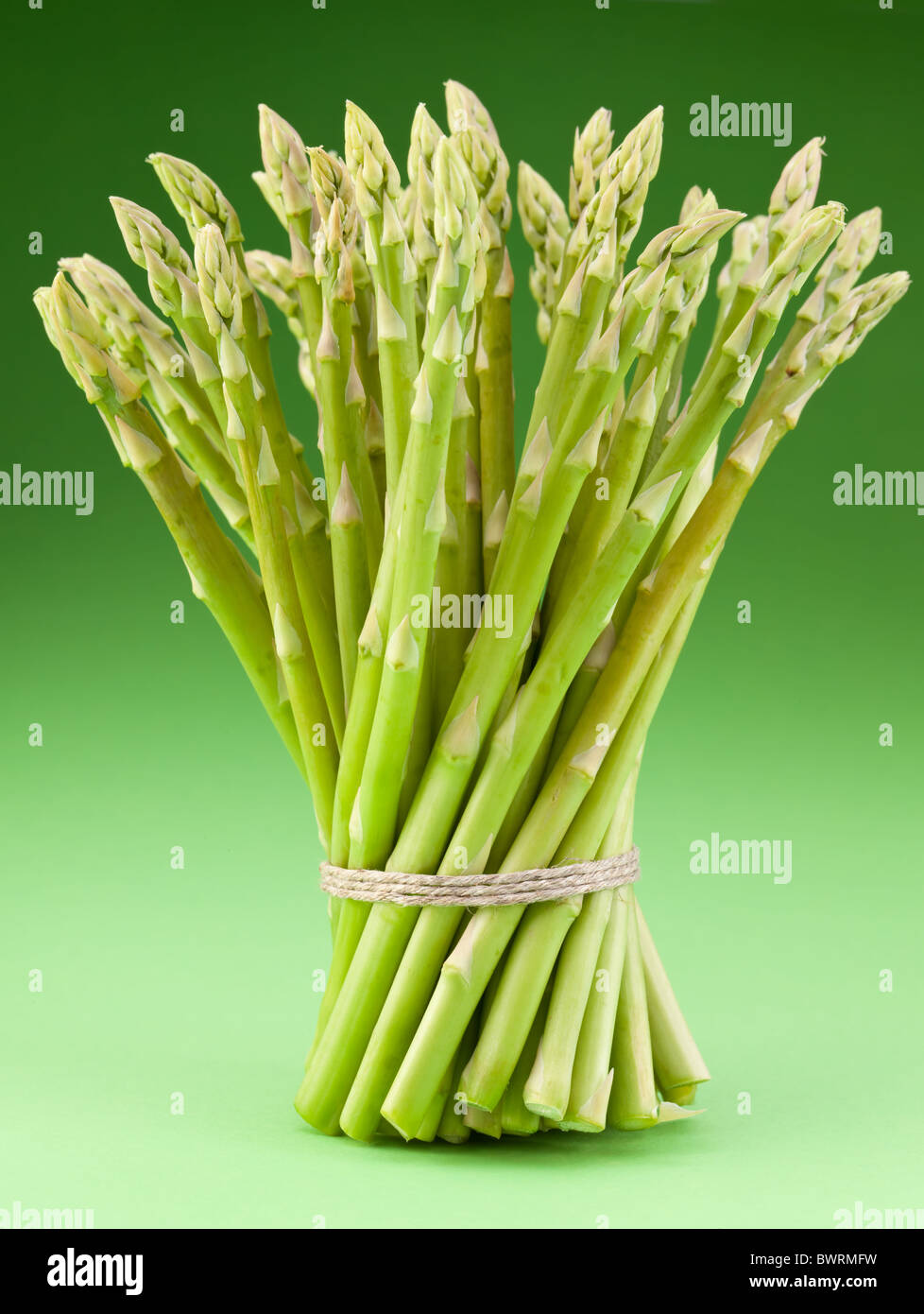 Sheaf of asparagus on a green background. Stock Photo