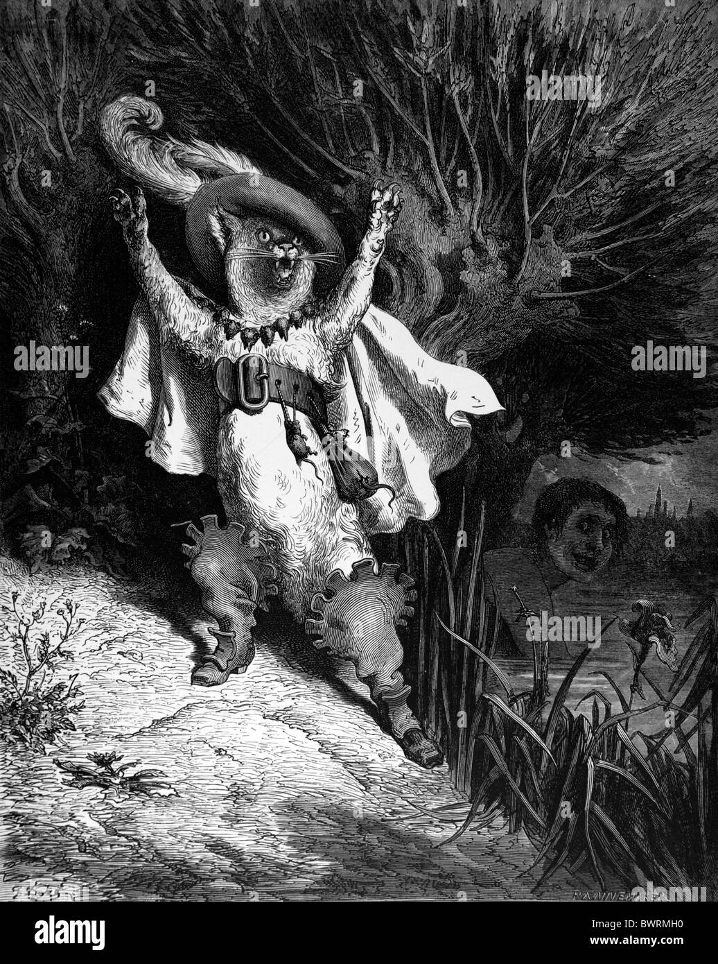 Gustave Doré; Puss in Boots; Black and White Engraving Stock Photo