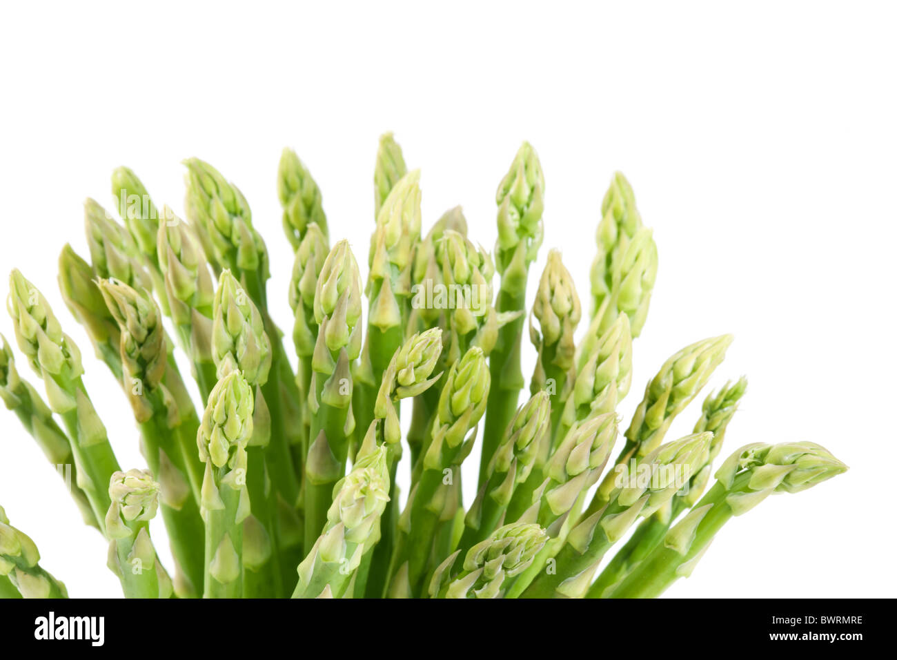 Sheaf of asparagus on a white background. Stock Photo