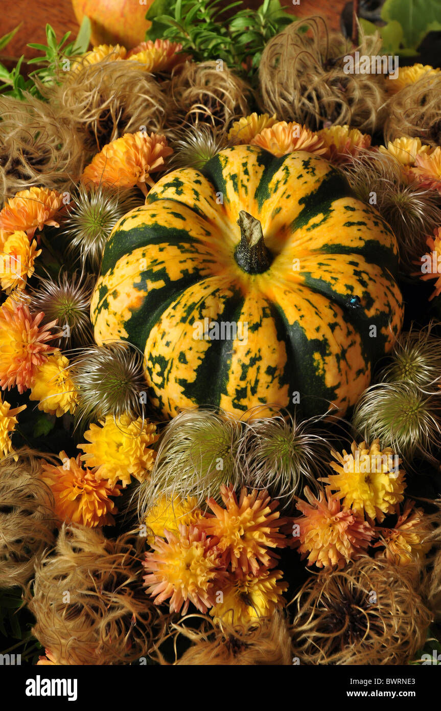 A harvest display with a pumpkin, flowers and seed heads, in a church. Dorset, UK October 2010 Stock Photo