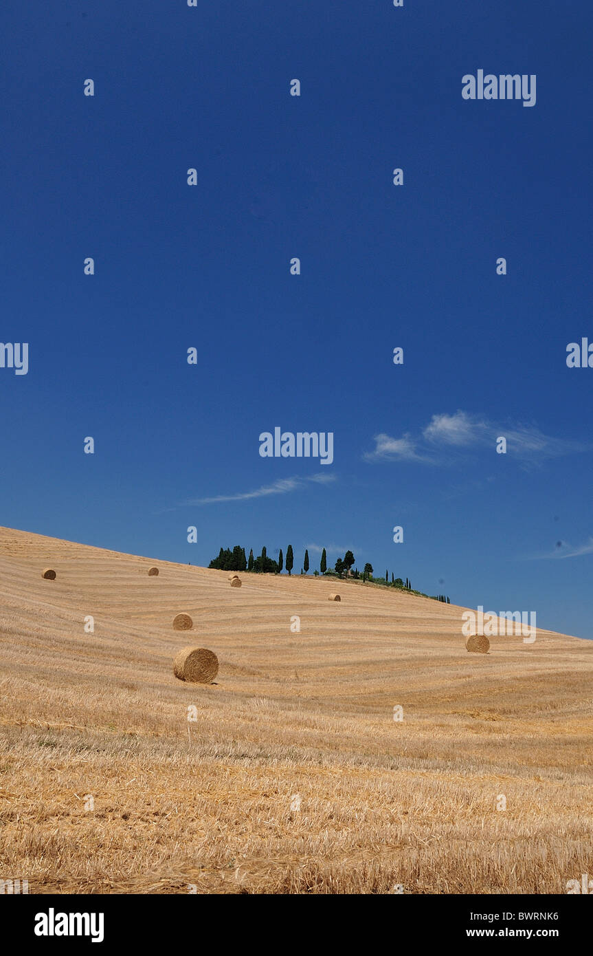 Landscape of Val d'Orcia, Tuscany, Italy Stock Photo