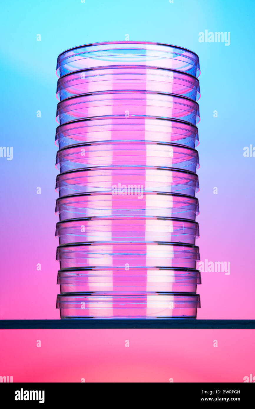 Stack of petri dishes Stock Photo Alamy