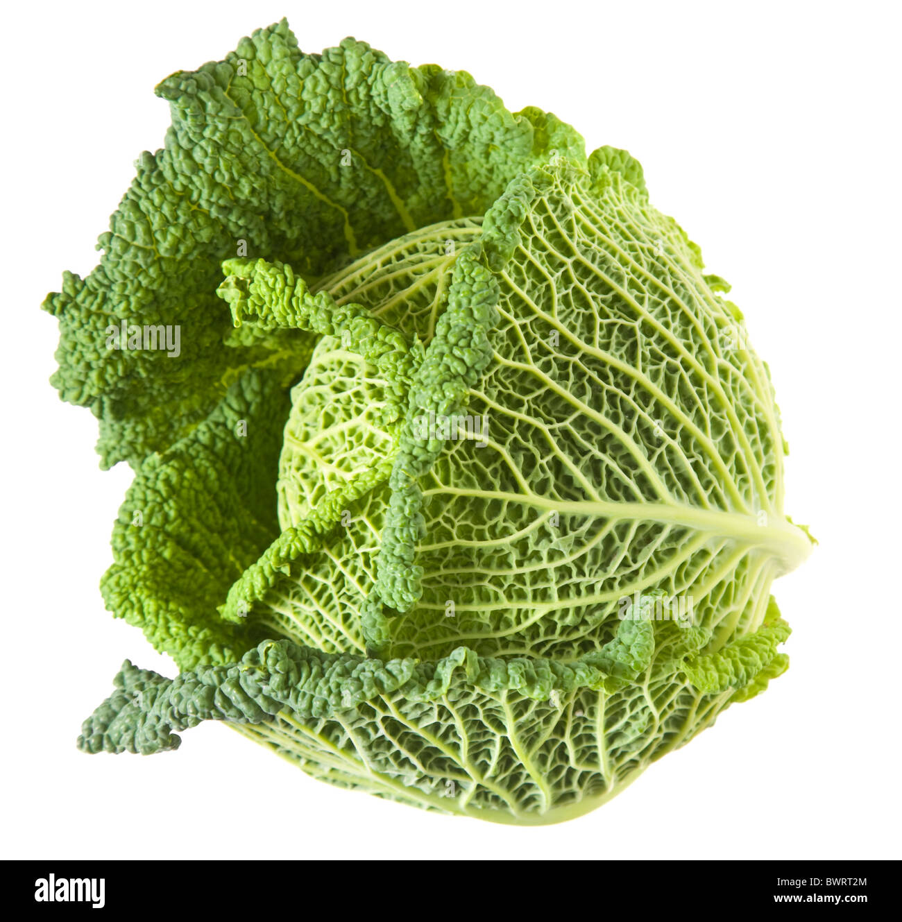 Savoy cabbage head isolated on white background Stock Photo - Alamy