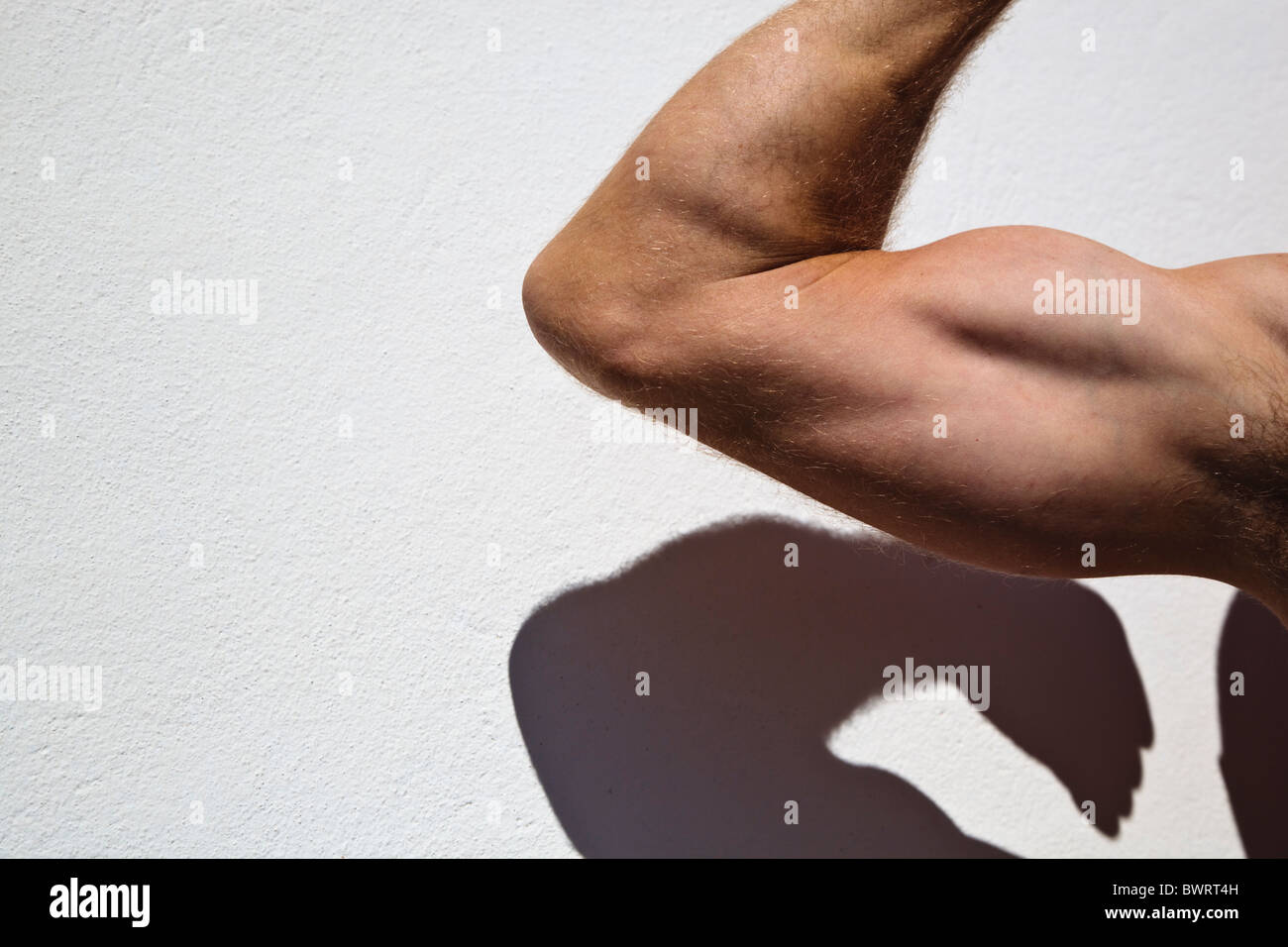 Biceps High Resolution Stock Photography and Images Alamy