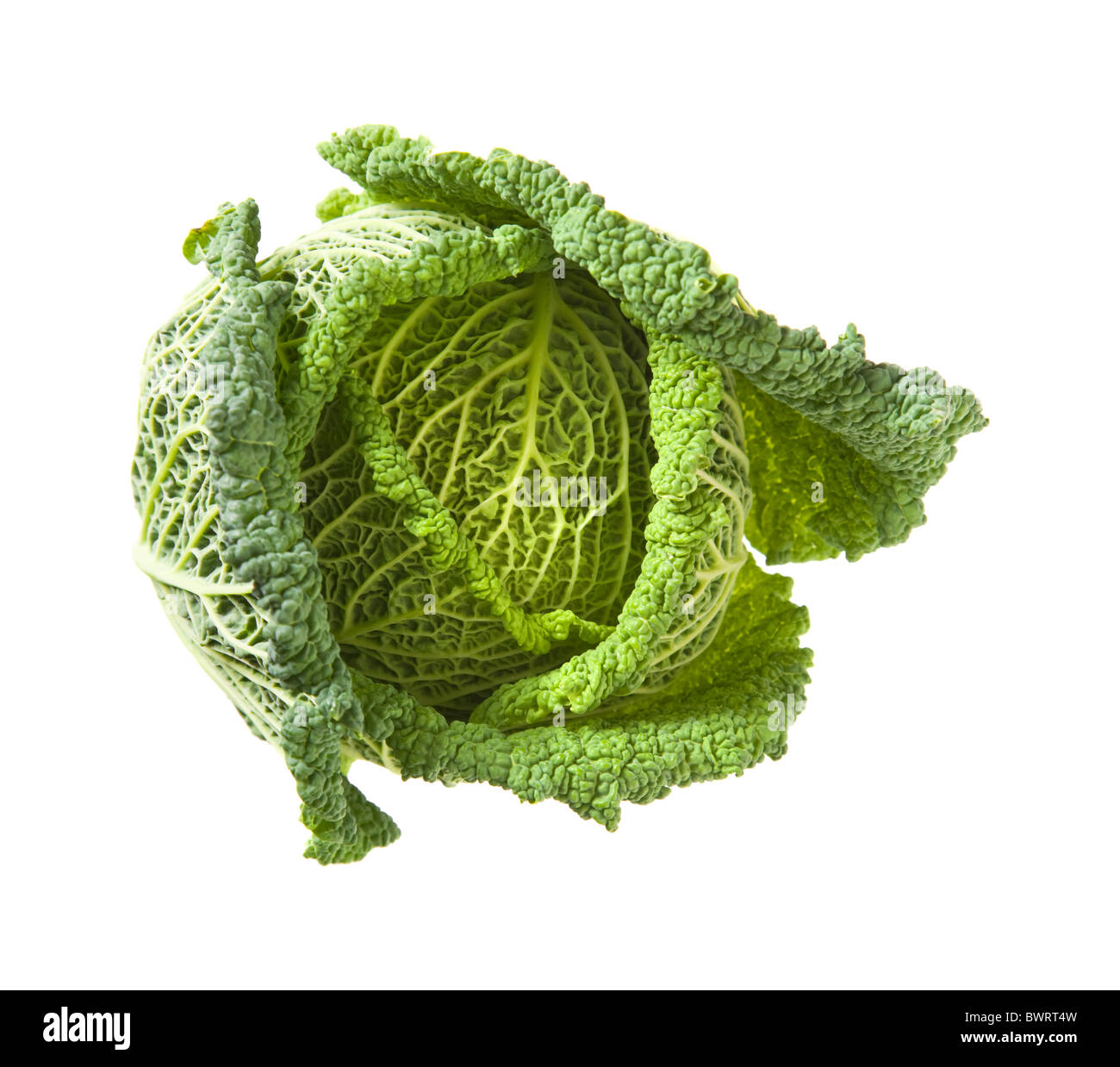 Savoy cabbage head isolated on white background Stock Photo - Alamy