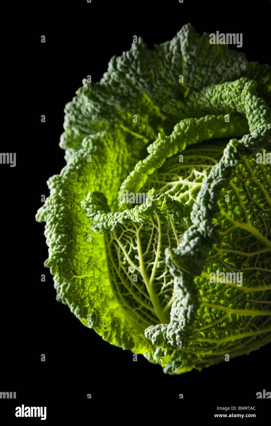 Savoy cabbage head isolated on black background Stock Photo Alamy