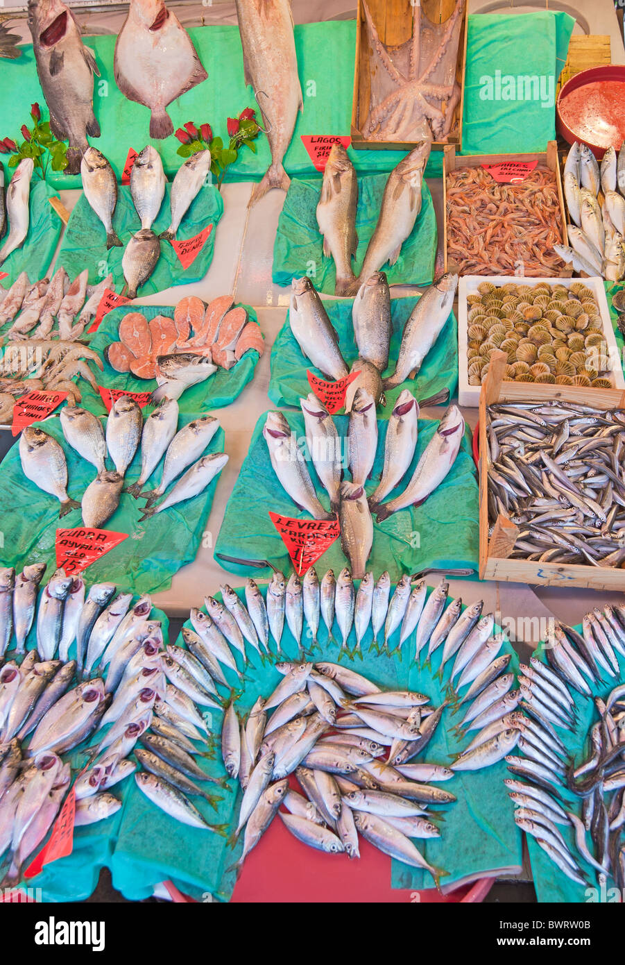 Fresh fish on display at the fish market in Istanbul, Turkey Stock Photo Alamy