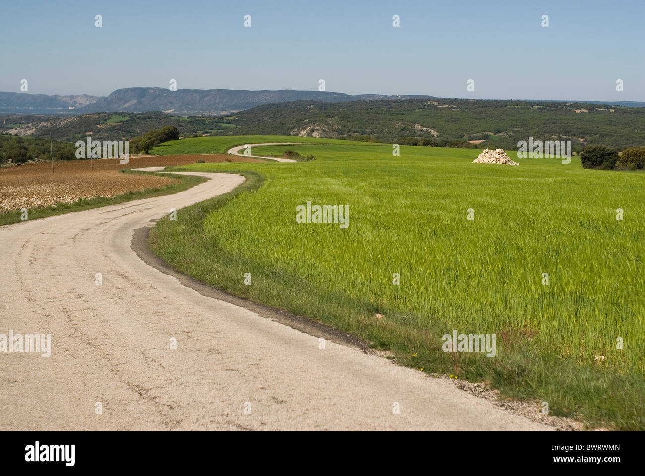 Wheat field. Alcarria area. Guadalajara province. Castile La Mancha. Spain  contemporary road carretera pavement curva curve Stock Photo