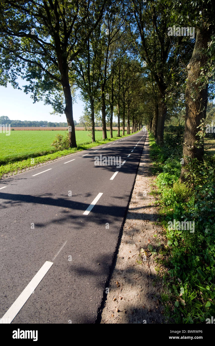 Netherlands Country Road High Resolution Stock Photography and Images