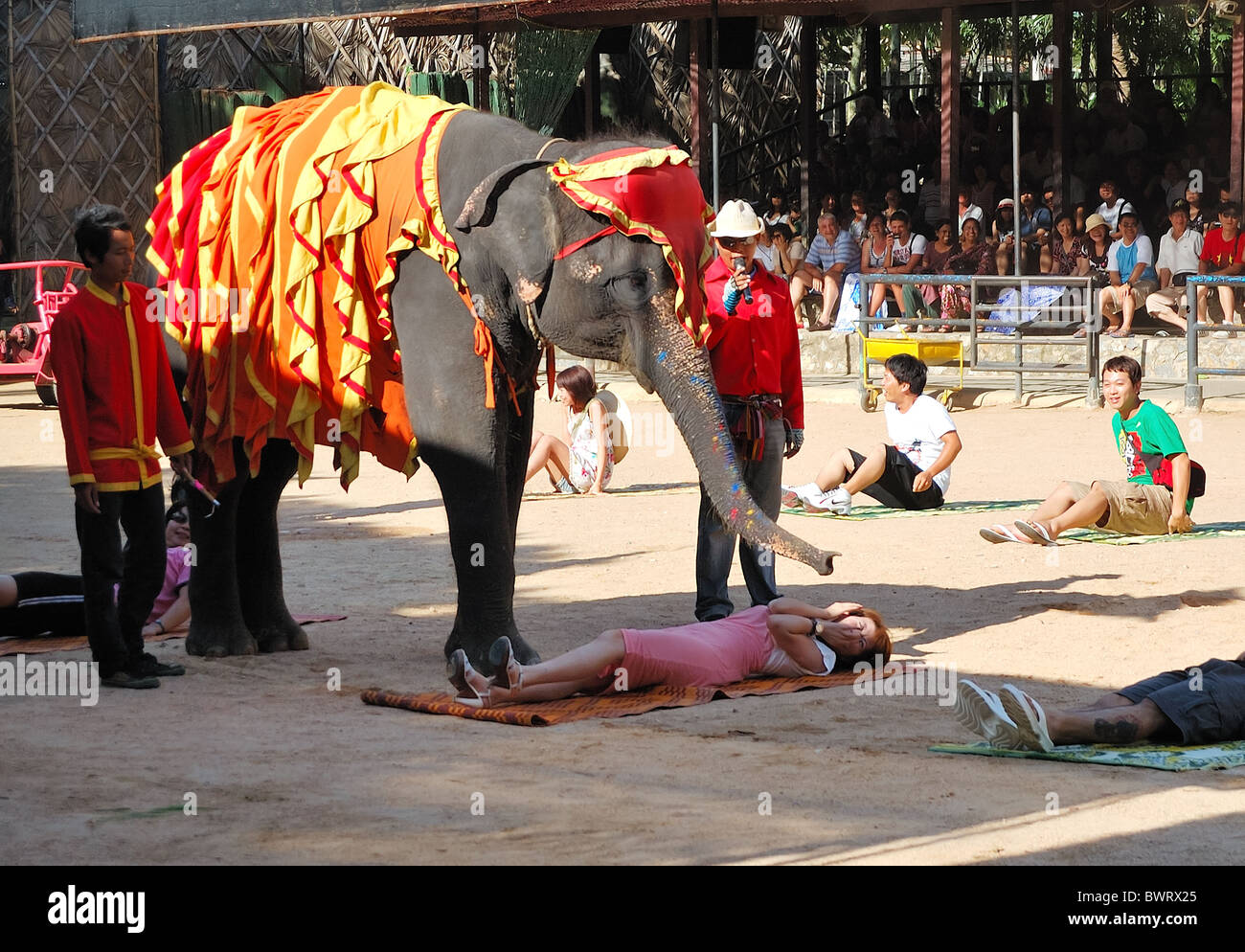 The famous elephant show in Nong Nooch tropical garden, Pattaya
