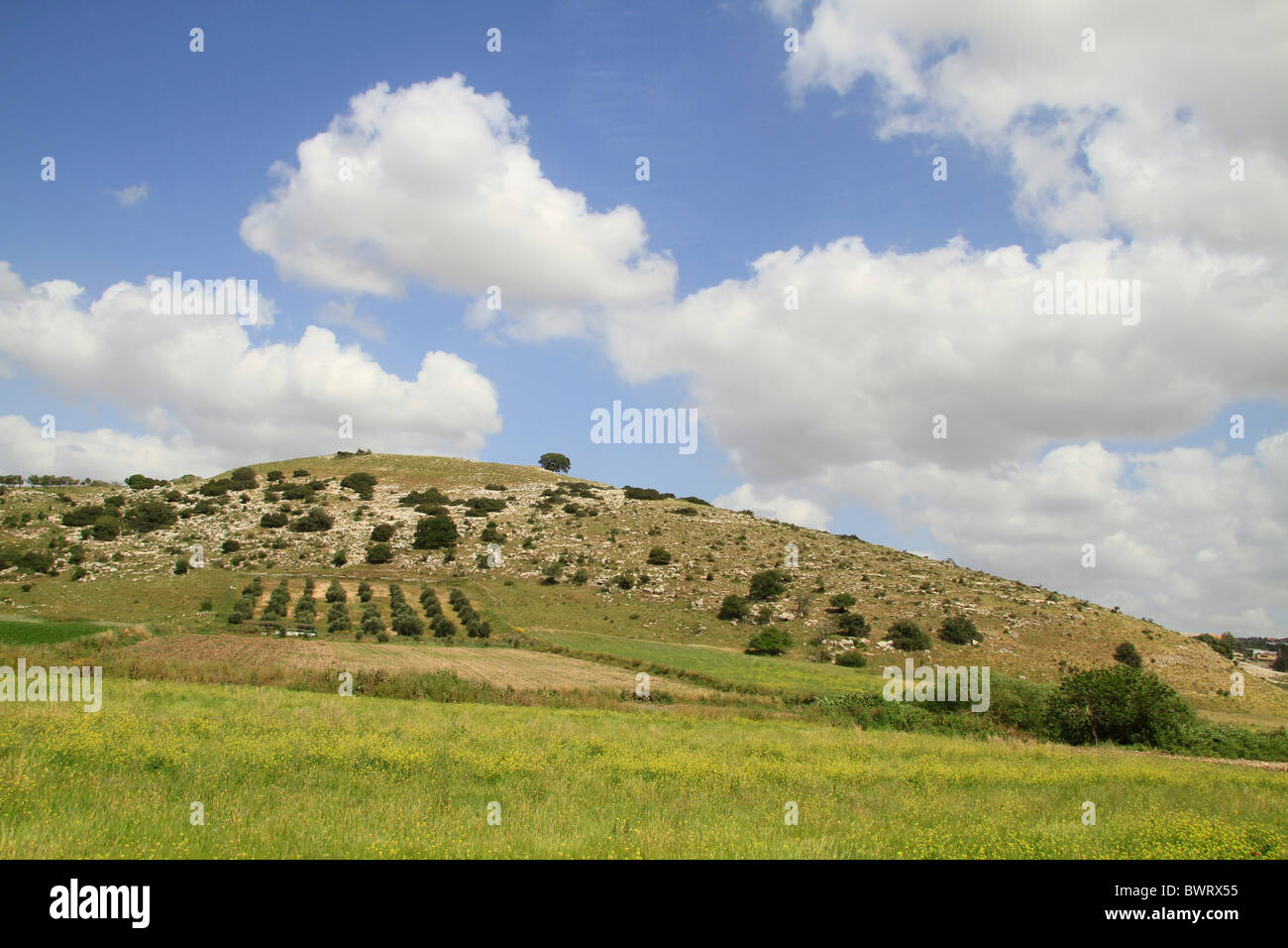 Israel, Lower Galilee, Alil Hill overlooking Wadi Zippori Stock Photo