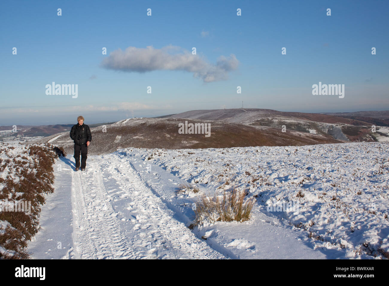 A woman walking in winter on Moel y Gamelin above Llangollen in Clwyd, North Wales Stock Photo
