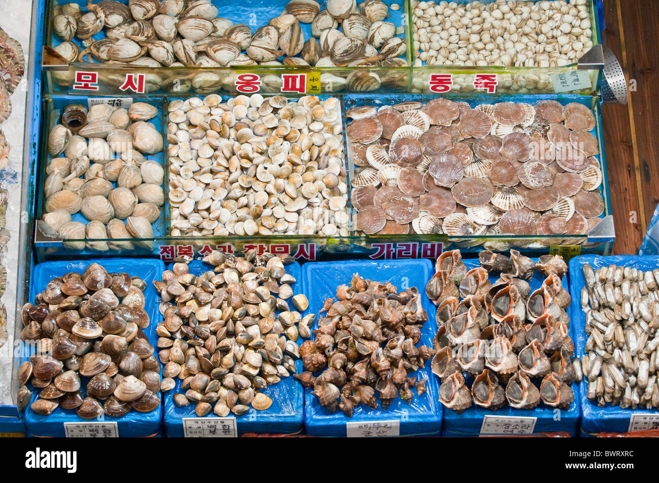 Shellfish for sale, including scallops,clams and whelks, Noryangjin ...