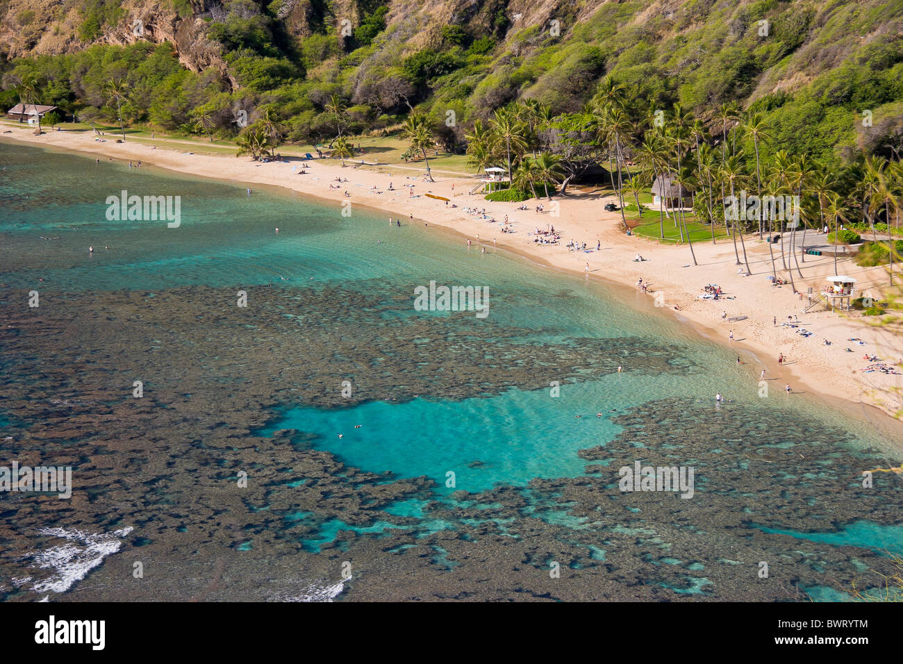 coral reef and white sand beach, Hanauma Bay Nature Preserve, Oahu