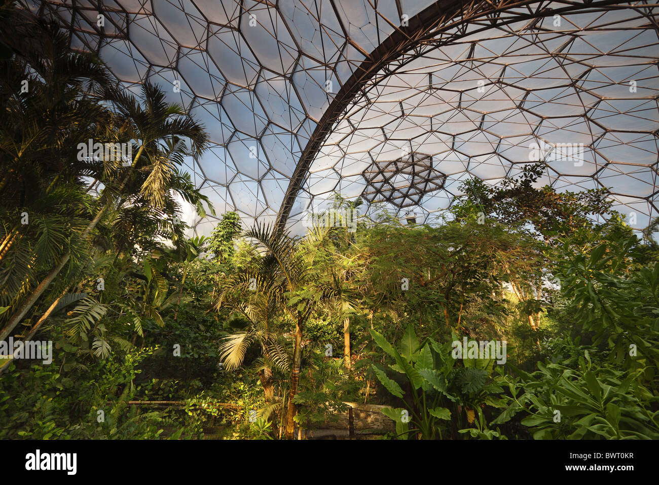 Biomes at the Eden Project Cornwall UK Stock Photo