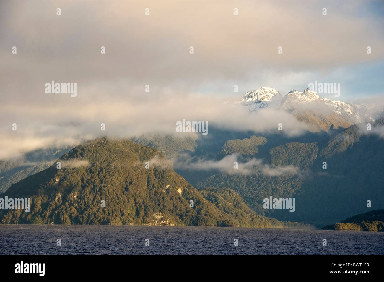 Elk195-4833 New Zealand South Island Lake Manapouri Stock Photo - Alamy