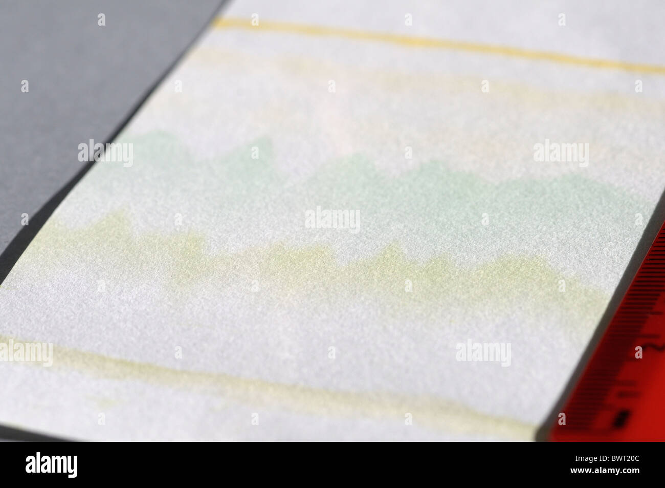 Photosynthetic pigments from a leaf resulting from paper chromatography