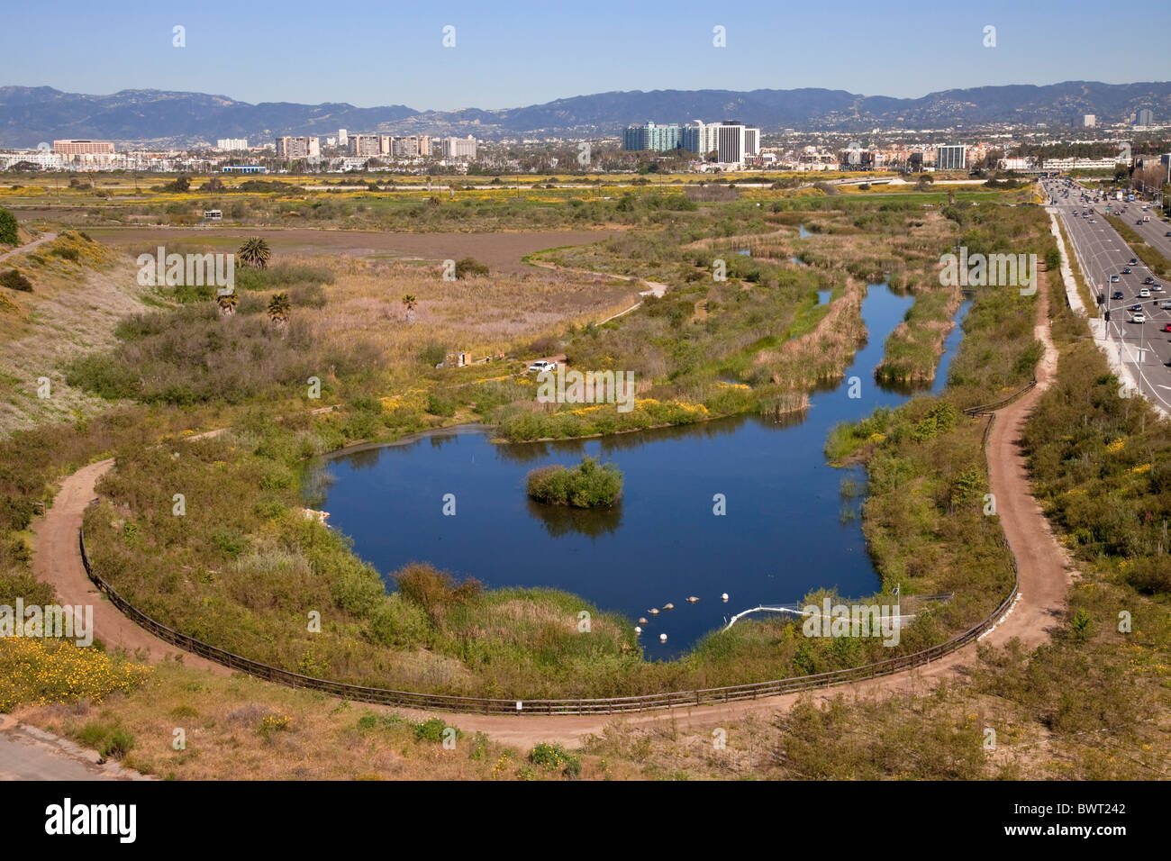 The Ballona Wetlands is a protected area near Marina Del Rey and Playa Del Rey.  Los Angeles, California, USA Stock Photo