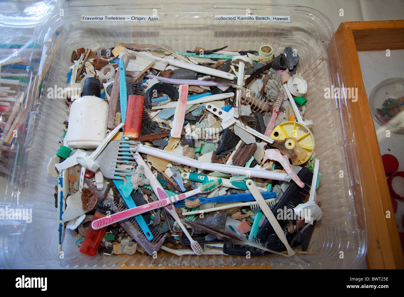 Plastic samples collected from the ocean. Algalita Marine Research Foundation. Long Beach, California, USA Stock Photo