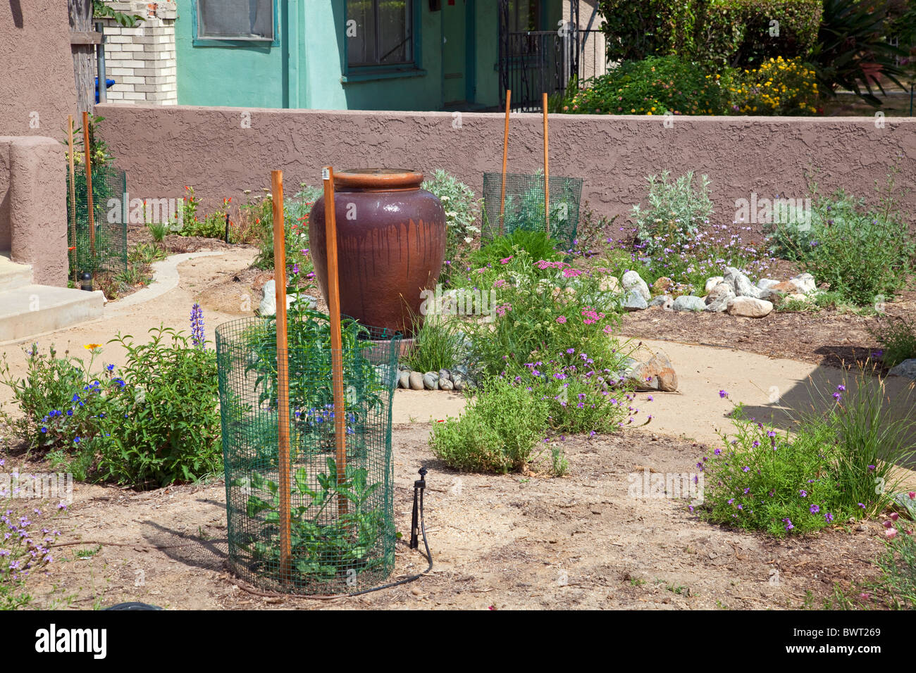 Drought Tolerant Garden, Atwater Village, Los Angeles, California, USA Stock Photo