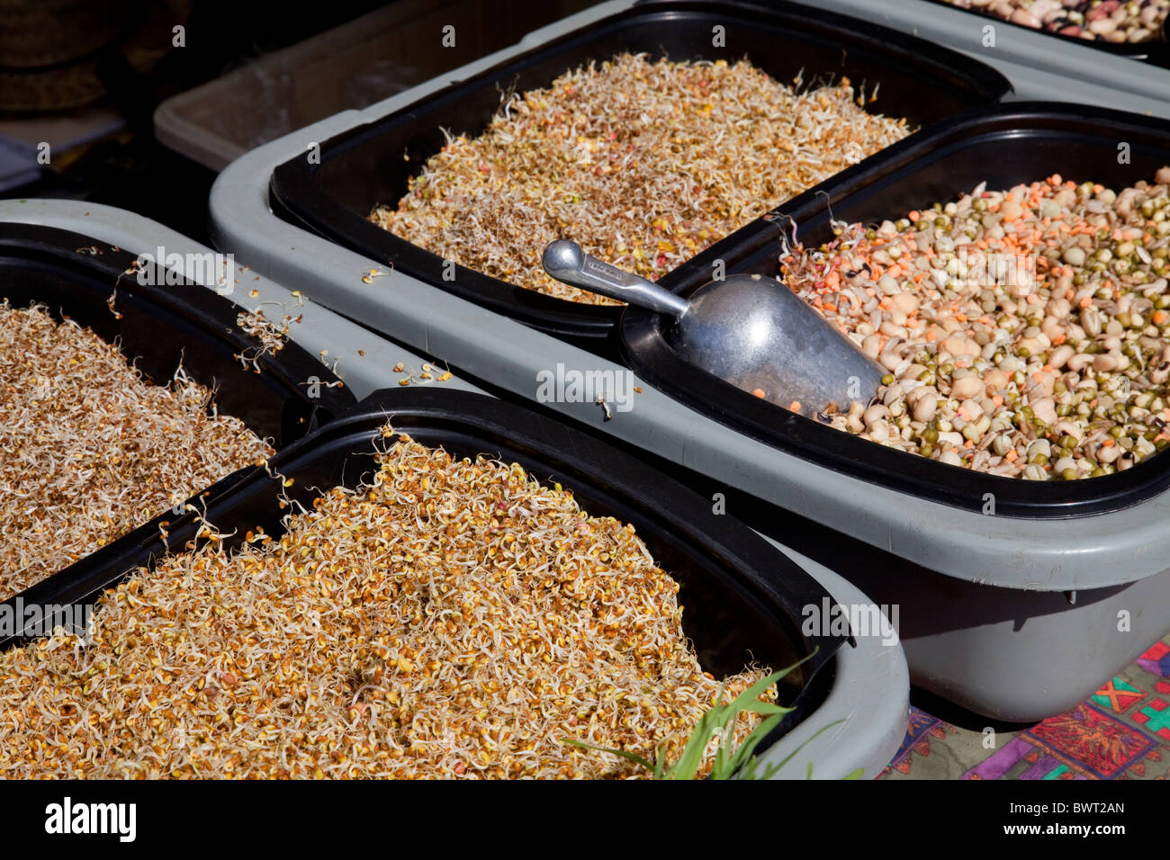 Sprouts and bean mixes at the Culver City Farmer's Market Tuesday