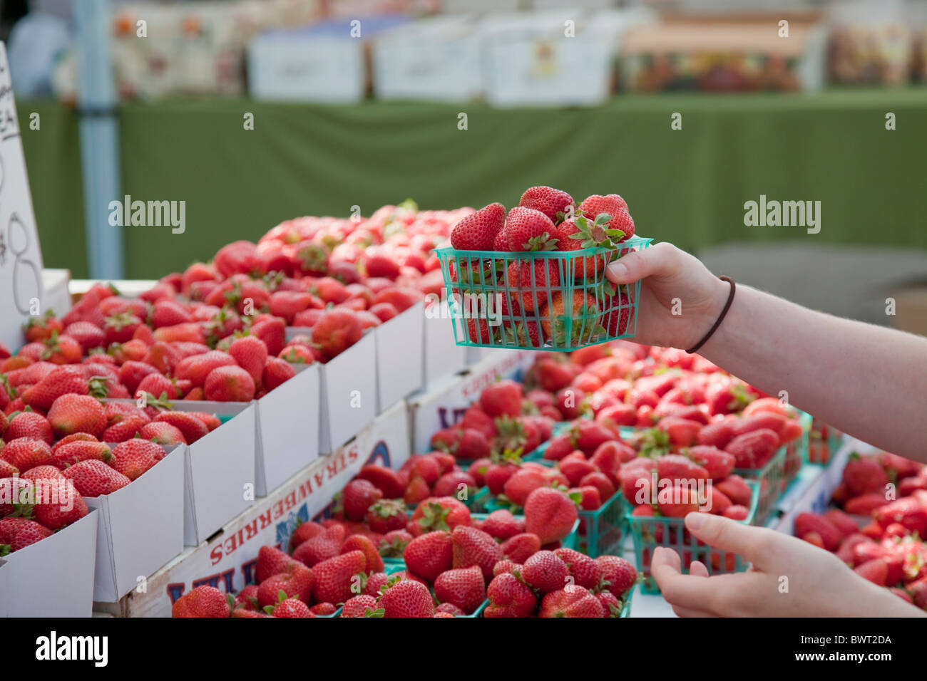Farmers Market Usa Strawberries High Resolution Stock Photography and ...