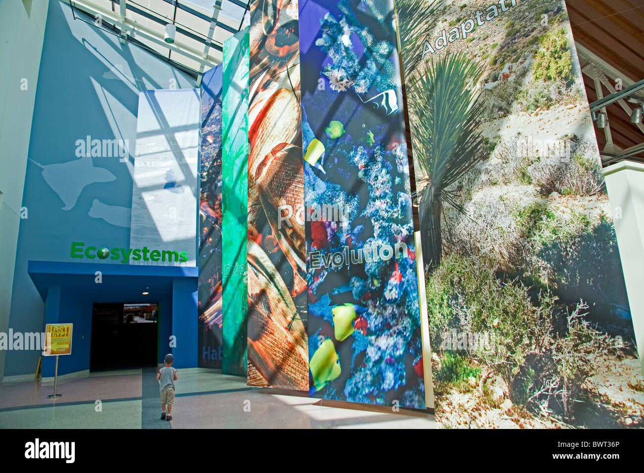 Ecosystems Exhibit at the California Science Center in Exposition Park. Los Angeles, California, USA Stock Photo