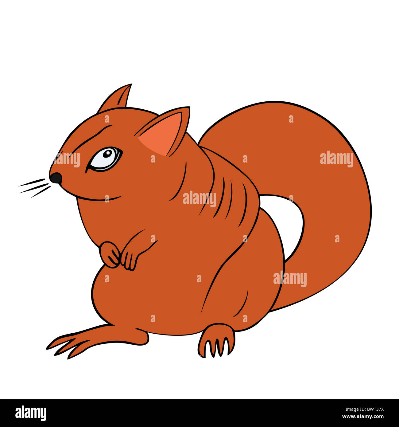 angry squirrel Stock Photo