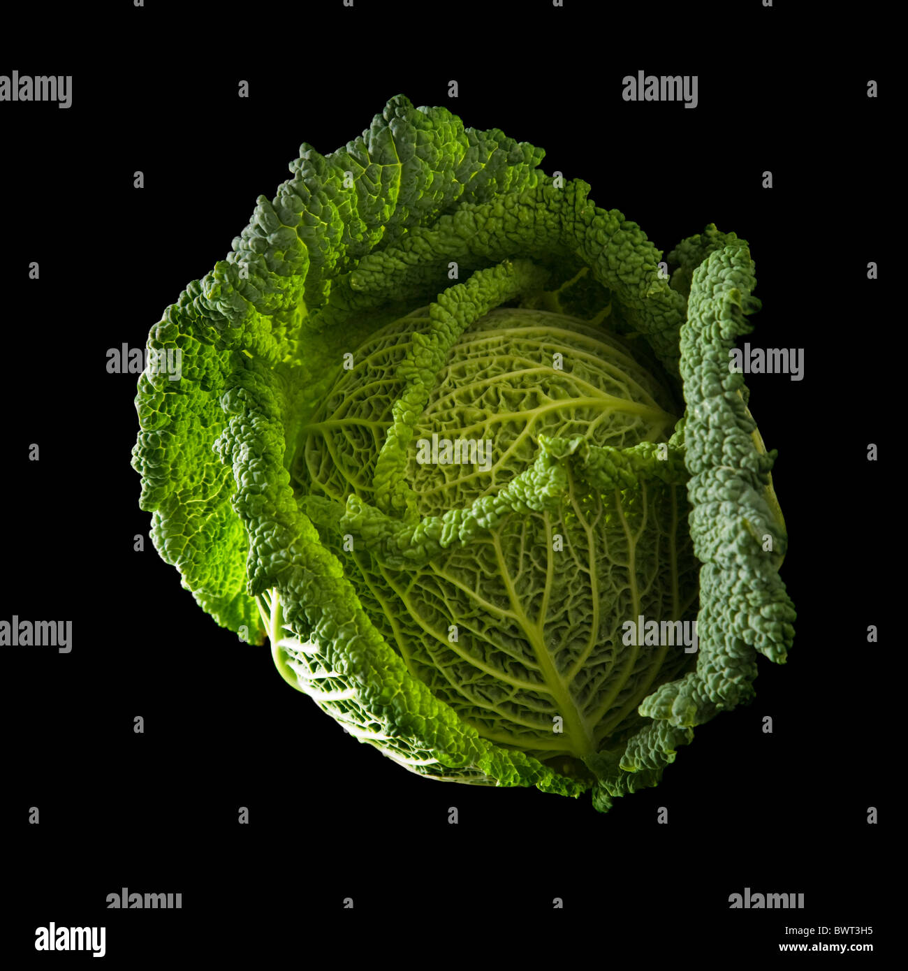 Savoy cabbage head isolated on black background Stock Photo Alamy